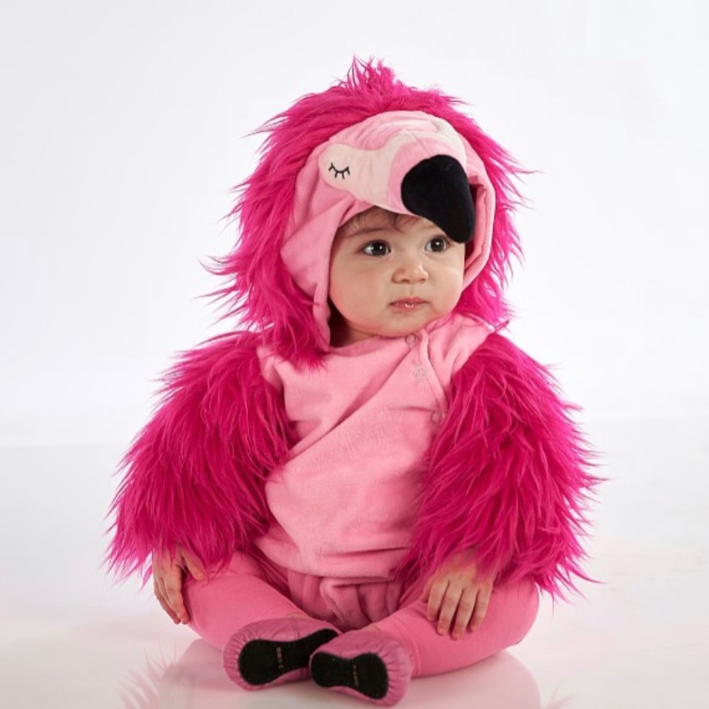 Pottery barn kids flamingo costume 12-24m